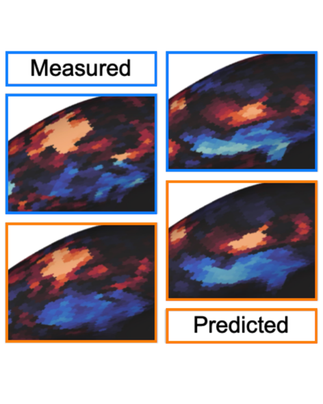 Predicting individualized brain responses