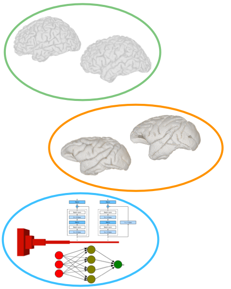 Comparisons across species and systems